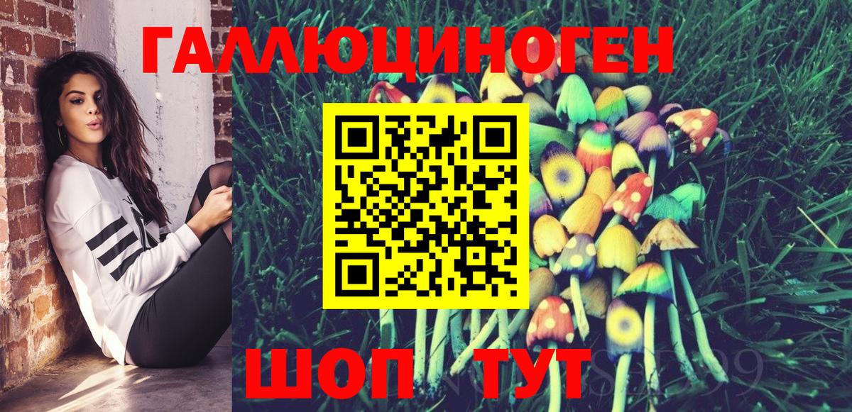 Тимашёвск  Псилоцибиновые грибы мицелий  Вход с VPN 